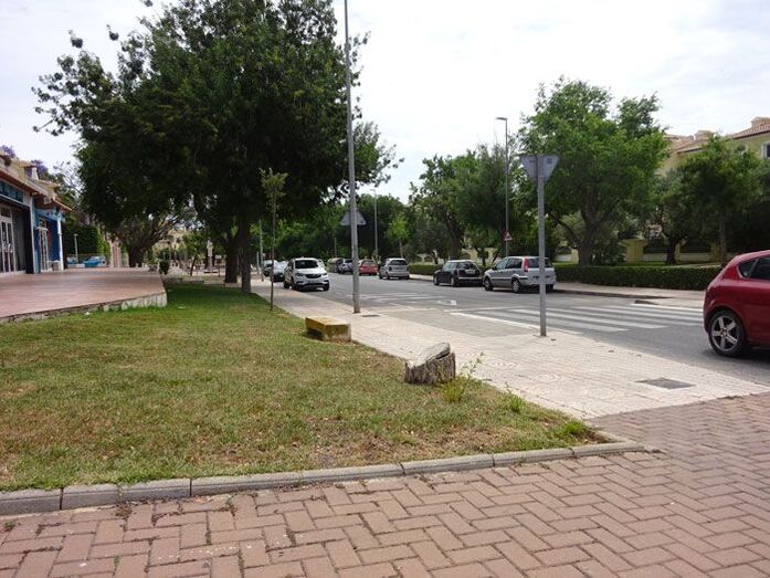 El urbanismo de Xàbia: pedir una licencia para talar un árbol.. y recibirla 365 días después