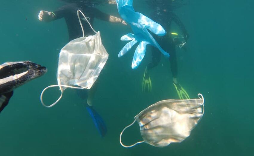 Recoge el guante, por una naturaleza sin plásticos por WWF