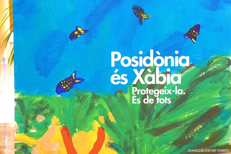 Xàbia pone en valor la posidonia a través de la mirada de sus escolares