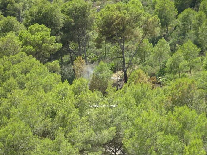 Extinguen con rapidez un pequeño fuego junto a la carretera de la Granadella