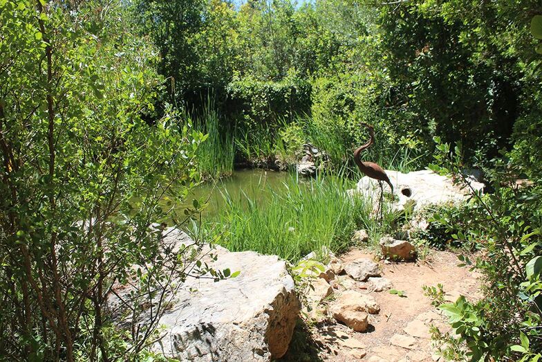 El Jardín de l'Albarda propone sumergirse en su bosque y desconectar de la rutina
