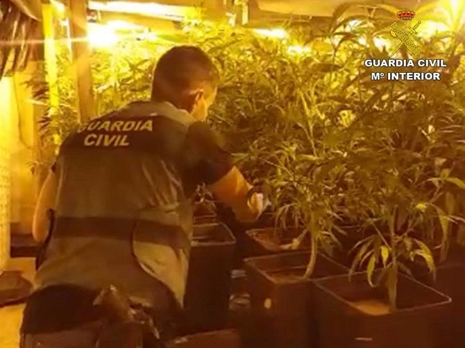 La Guardia Civil desmantela una plantación de marihuana en una vivienda de Xàbia