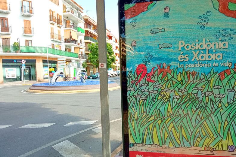 El IROX lanza a la administración una serie de propuestas para futuras acciones de protección de la posidonia