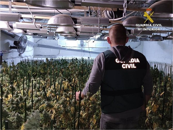 La Guardia Civil desmantela una plantación de marihuana alojada en el sótano de un consolidado restaurante en la Marina Alta