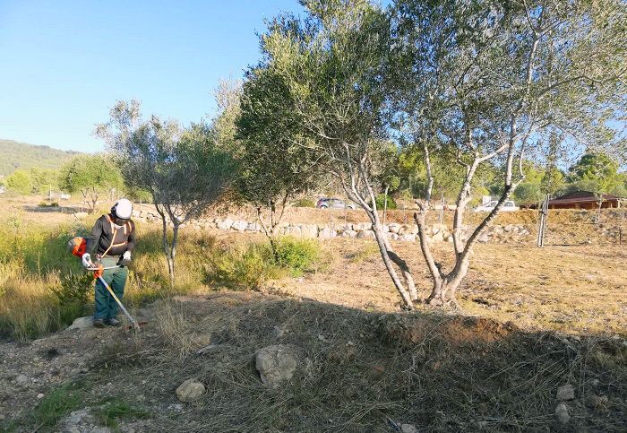 Siete personas desempleadas se suman a las tareas de limpieza de zonas verdes en Benitatxell