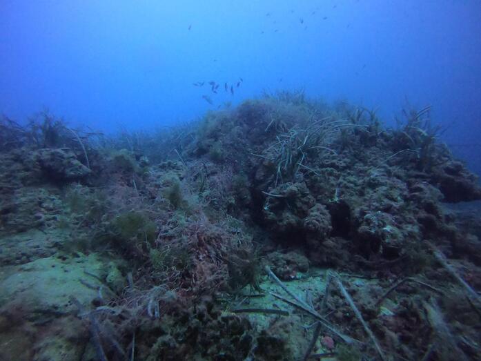 Conselleria retirará las redes fantasma abandonadas en la costa de la Marina