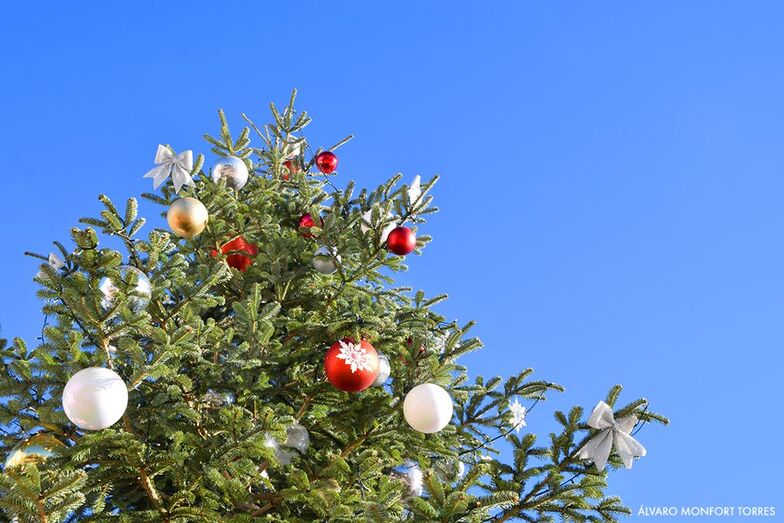 Agenda de actividades del fin de semana del 2 al 4 de diciembre de 2022 en Xàbia