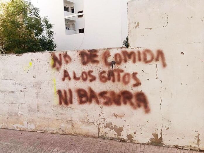 Una colonia controlada de gatos callejeros genera discrepancias en Thiviers