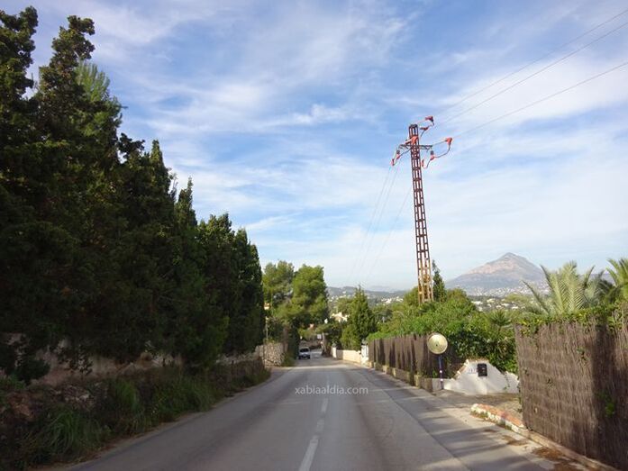 Instalan protectores en la torre eléctrica de la carretera de la Guardia en la que falleció un águila pescadora