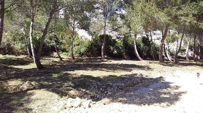 La brigada Emerge de Benitatxell utiliza vinagre concentrado para evitar el crecimiento de malas hierbas en los parques municipales