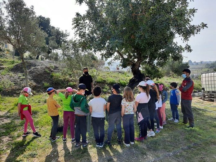 Los escolares del Santa María Magdalena de Benitatxell replantan la zona verde de Les Fonts