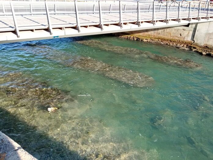 Seis ofertas para la obra de demolición de las bases del puente del antiguo puente de Triana