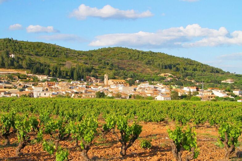 Unir, fomentar y visibilizar por igual los recursos de la comarca; objetivo del Passaport Marina Alta