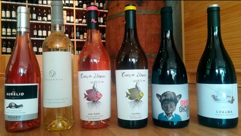 Aprovecha las últimas unidades de una selección de vinos en Casa del Vino