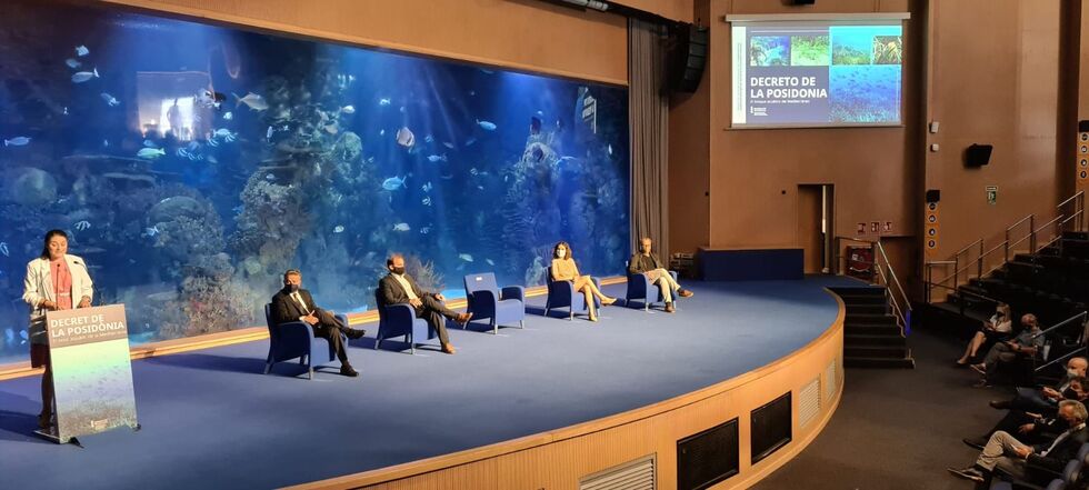 La Generalitat refuerza la protección de la posidonia con un nuevo decreto regulador