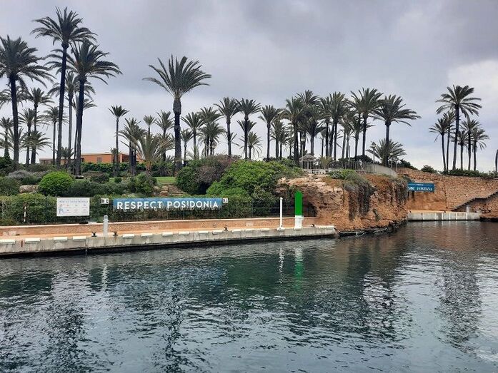 Marina Nou Fontana promueve entre los amarristas y usuarios de la rampa una campaña de respeto a la posidonia