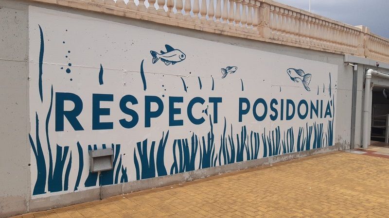 El Consell aprueba un decreto para la conservación y protección de la posidonia marina