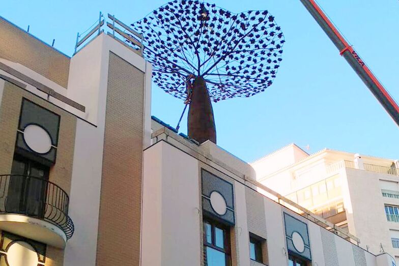 Toni Marí planta un gran árbol sobre el cielo de Marqués de Campo en Dénia