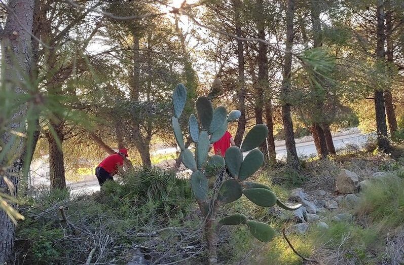 Benitatxell contrata a siete personas para reforzar la brigada de limpieza de zonas verdes y caminos
