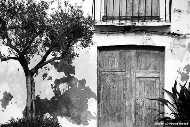 Xàbia vuelve a sumergirse en el lado más oscuro de la literatura con el festival Xàbia Negra