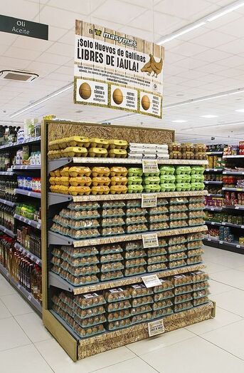 Masymas ya solo comercializa huevos de gallinas libres de jaula