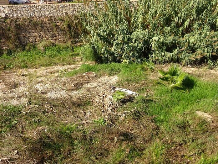Aparecen de nuevo toallitas de WC en el cauce del río Gorgos