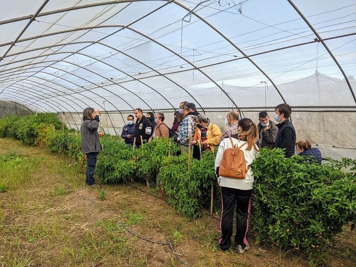 Aprosdeco y la Xarxa Agrícola de Creama posibilitan un taller ocupacional en torno a la agricultura