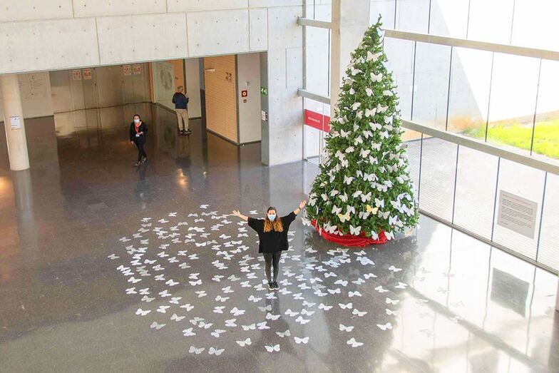 Estrellas cargadas de deseo para el gran árbol de Navidad del Hospital de Dénia