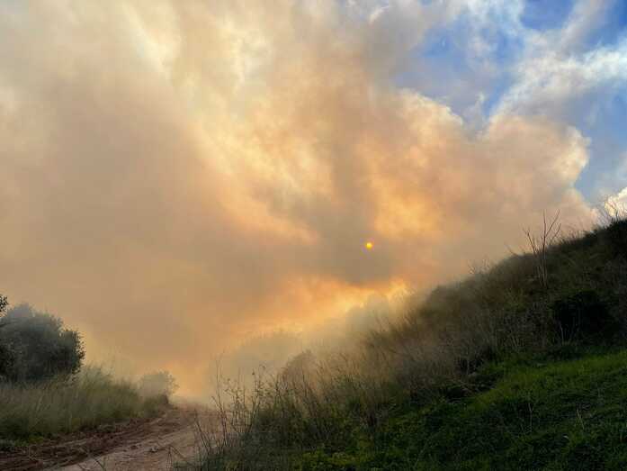 El pleno debate la problemática que rodea la gestión de Ramblars a raíz del actual incendio
