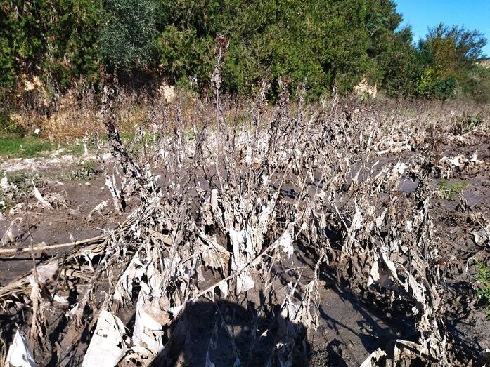 Xàbia contratará por 390.000 euros el sistema para controlar -y conocer- como está la red de alcantarillado