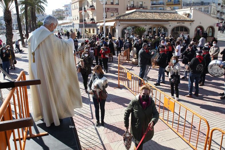 Bendición de animales en el Puerto de Xàbia