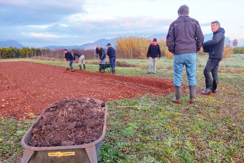 Arranca la siembra de patatas en el huerto que abastece a Cáritas de la Parroquia de Loreto