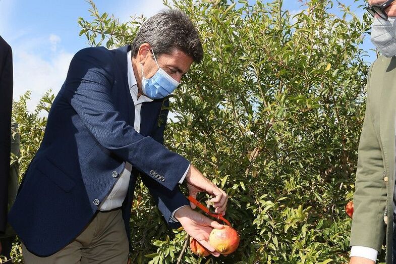 La Diputación incrementa un 40% el presupuesto del área de Desarrollo Económico para hacer frente al COVID