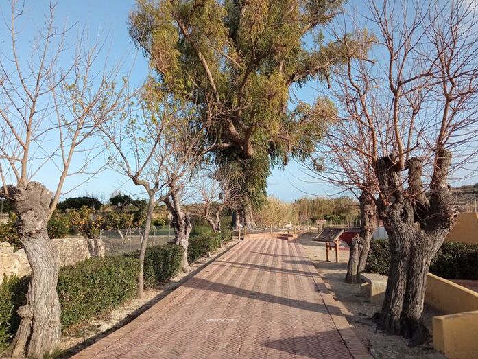 La Font de La Rana reverdece como símbolo del paisaje mediterráneo de ribera