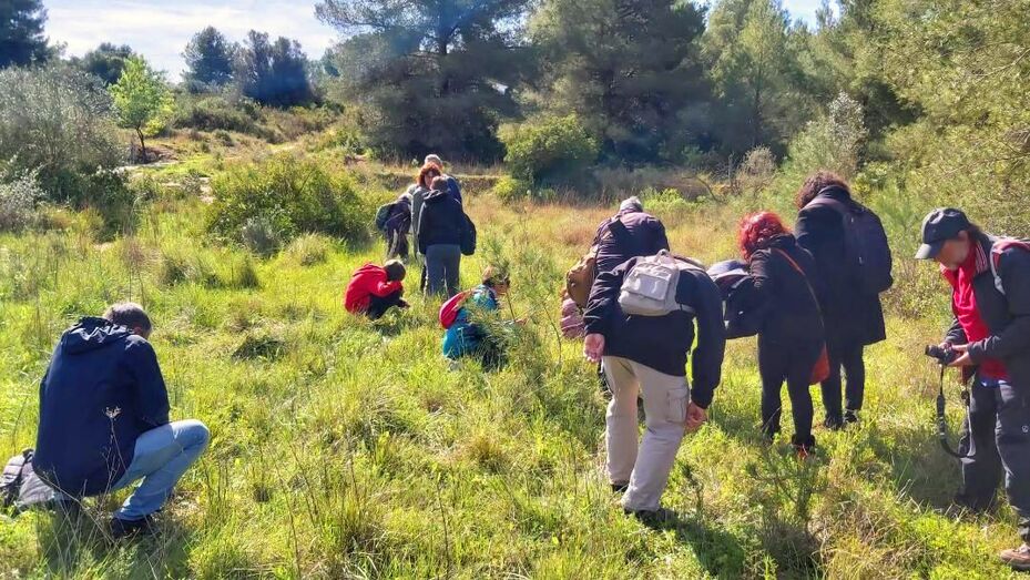 Las orquídeas silvestres de Xàbia sorprenden a sus descubridores