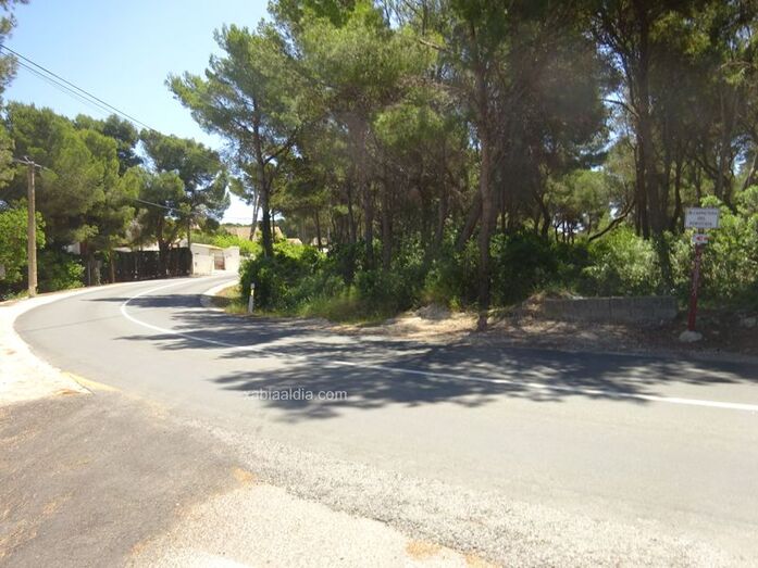 Unanimidad en Xàbia para pedir a la Diputación que coloque bolardos para evitar el estacionamiento de coches en la carretera del Portitxol