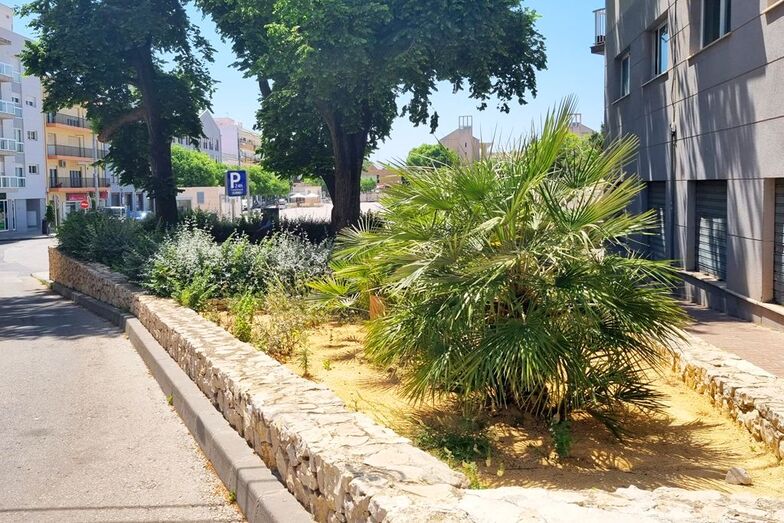 El pintor de Xàbia Antonio Bas Blasco tendrá un espacio público que recordará su figura
