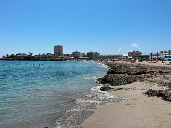 Ecologistas en Acción pide la retirada de la bandera azul de la playa del Arenal