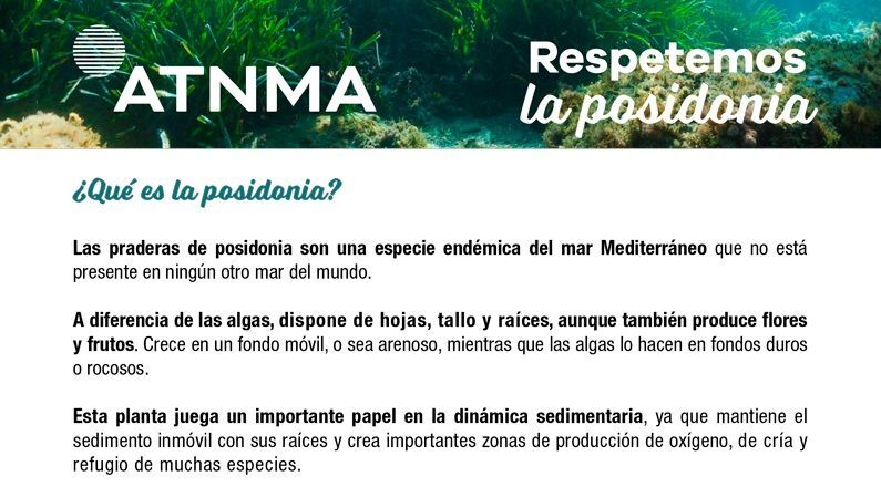 Los empresarios del turismo náutico de la Marina Alta editan una guía con consejos para no fondear sobre la posidonia