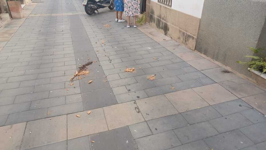 Llega la fiesta grande.. y con ella el incivismo