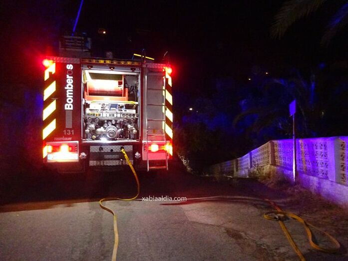 Susto en una pinada de la Cuesta de Sant Antoni de Xàbia