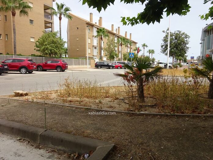 El PP denuncia el mal estado de conservación de los jardines del Arenal