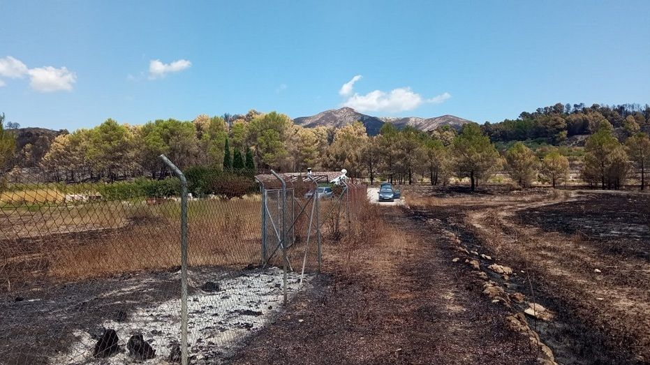 El Gobierno declarará el territorio afectado por el incendio de la Vall d’Ebo como zona especialmente afectada por emergencia