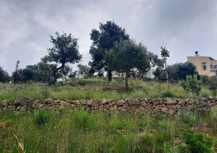 Benitatxell recuperará sus muros de piedra seca, declarados Patrimonio Inmaterial de la Humanidad por la UNESCO