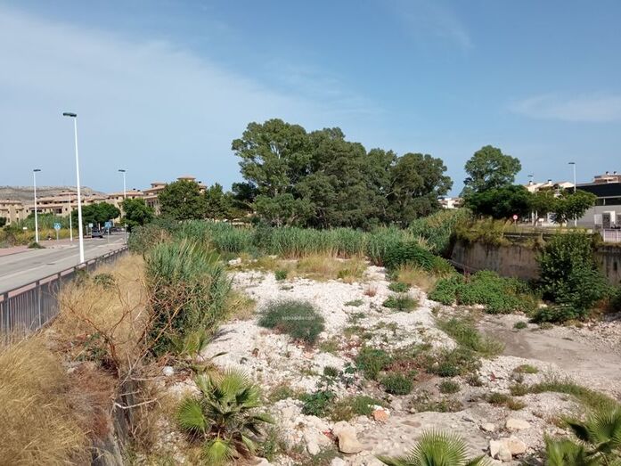 La Confederación Hidrográfica del Júcar cubrirá con una malla negra el cauce del Gorgos para evitar que crezcan las cañas
