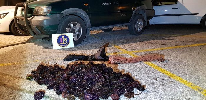 La pesca furtiva del erizo de mar en la Marina Alta, una actividad castigada con multas de hasta 12.000 euros