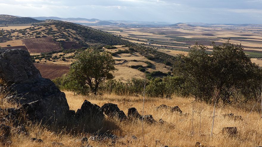 La fundación del Jardí de l'Albarda de Pedreguer adquiere 10 hectáreas de monte mediterráneo en Ciudad Real
