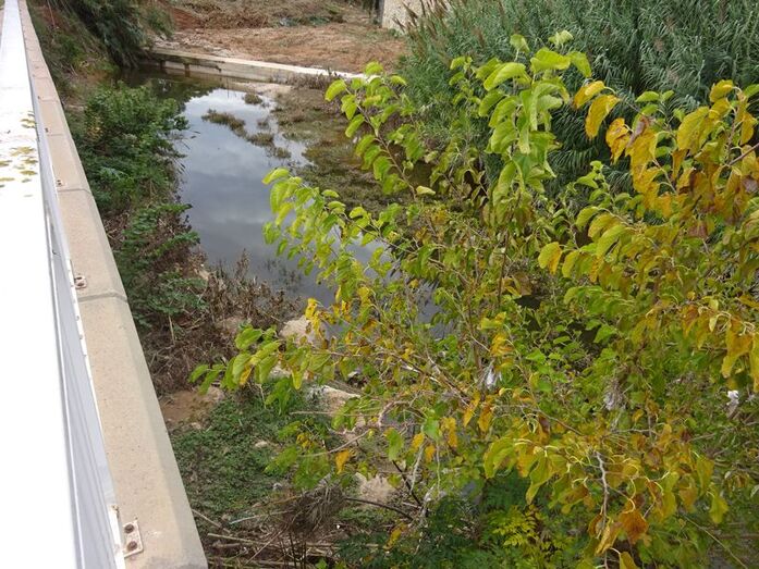 Xàbia estudia trasvasar a Amjasa la gestión de la red de saneamiento