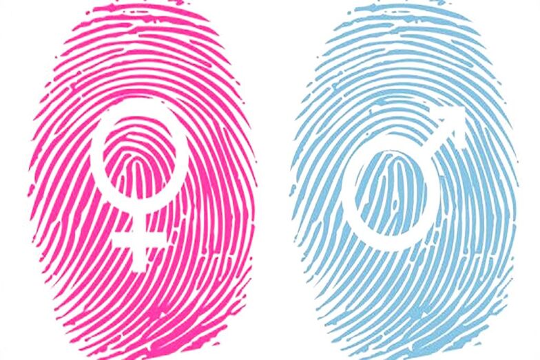 La Xarxa Jove de La Marina conciencia a los jóvenes en derechos sexuales y reproductivos