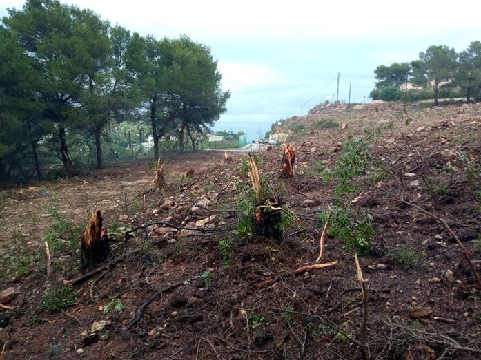La construcción alcanza ya los terrenos libres de la carretera del Portitxol La construcción alcanza ya los terrenos libres de la carretera del Portitxol